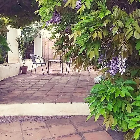 Cortijo Artist Paradise 네르하
