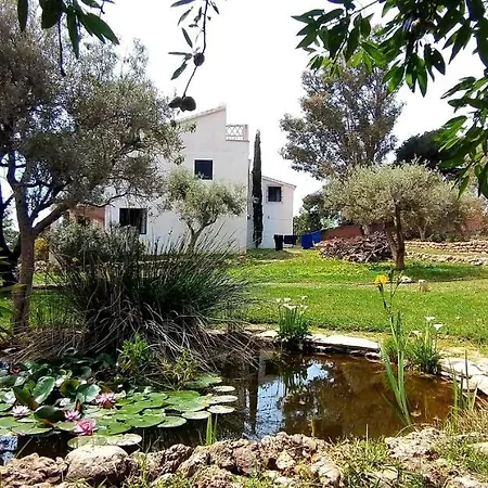 Cortijo Artist Paradise * 네르하