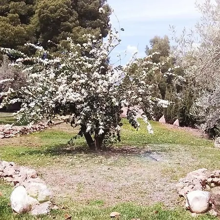 Cortijo Artist Paradise 펜션 네르하