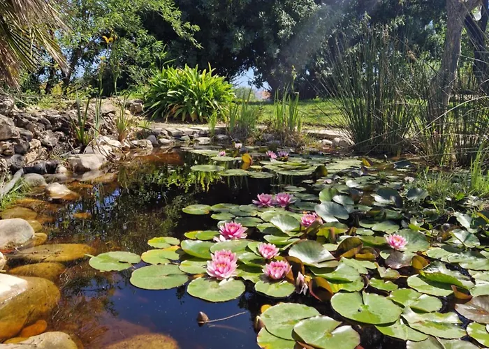 Cortijo Artist Paradise Vakantiehuis *